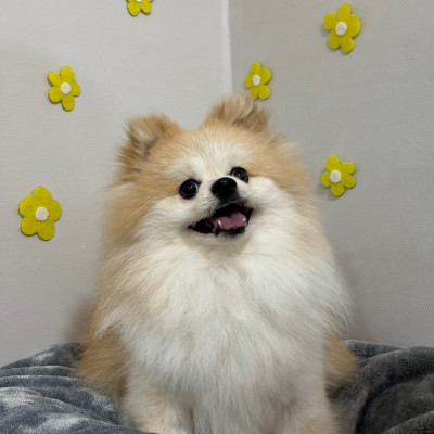새로운 마음으로⭐️