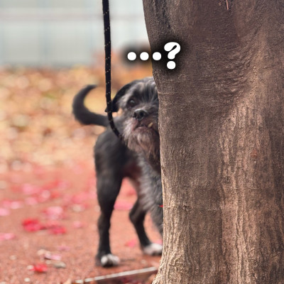 후추야 좀 웃어봐봐