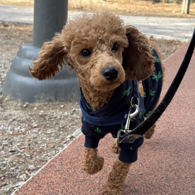 햇밤 입양 확정 ♥