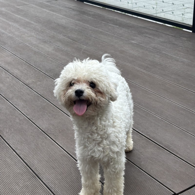 ★보호자를 찾습니다!