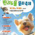 2025년 노원 반려동물 문화축제 개최 안내